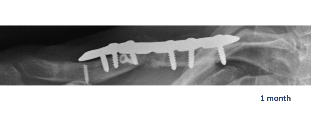 Screenshot 2025 03 24 at 15.48.24 1