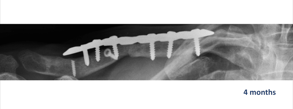 Screenshot 2025 03 24 at 15.48.33 1