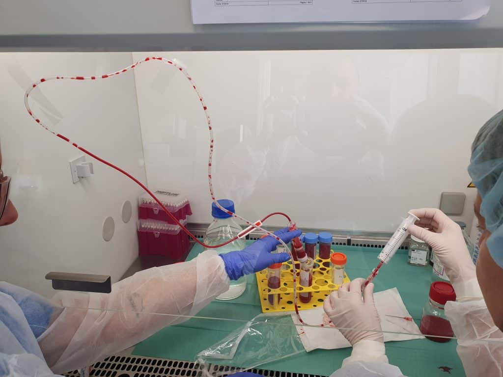 qué es discopatía lumbar