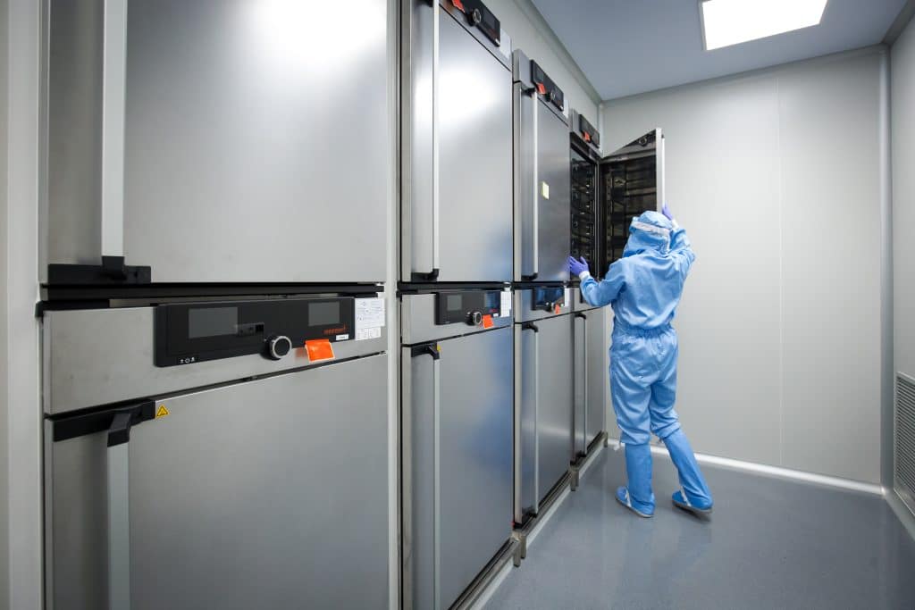 how are cultured mesenchymal cells obtained for tendon regeneration?