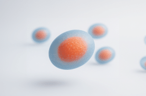 High-resolution digital rendering of a Cultured Mesenchymal Stem Cell (CMC)