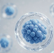Our Exclusive Procedure 12 Cryopreserved cell