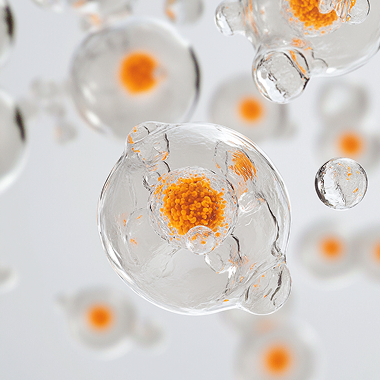 Our Exclusive Procedure 18 Cells under the microscope